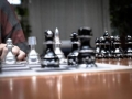 14480719_1133955583350701_2315432045812044196_o