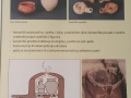 20150212_152512-2.jpg