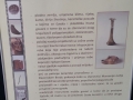 20150212_152527-2.jpg