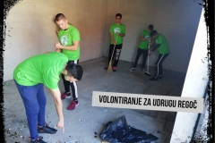 Volonterski klub Plavi mravi - aktivnosti